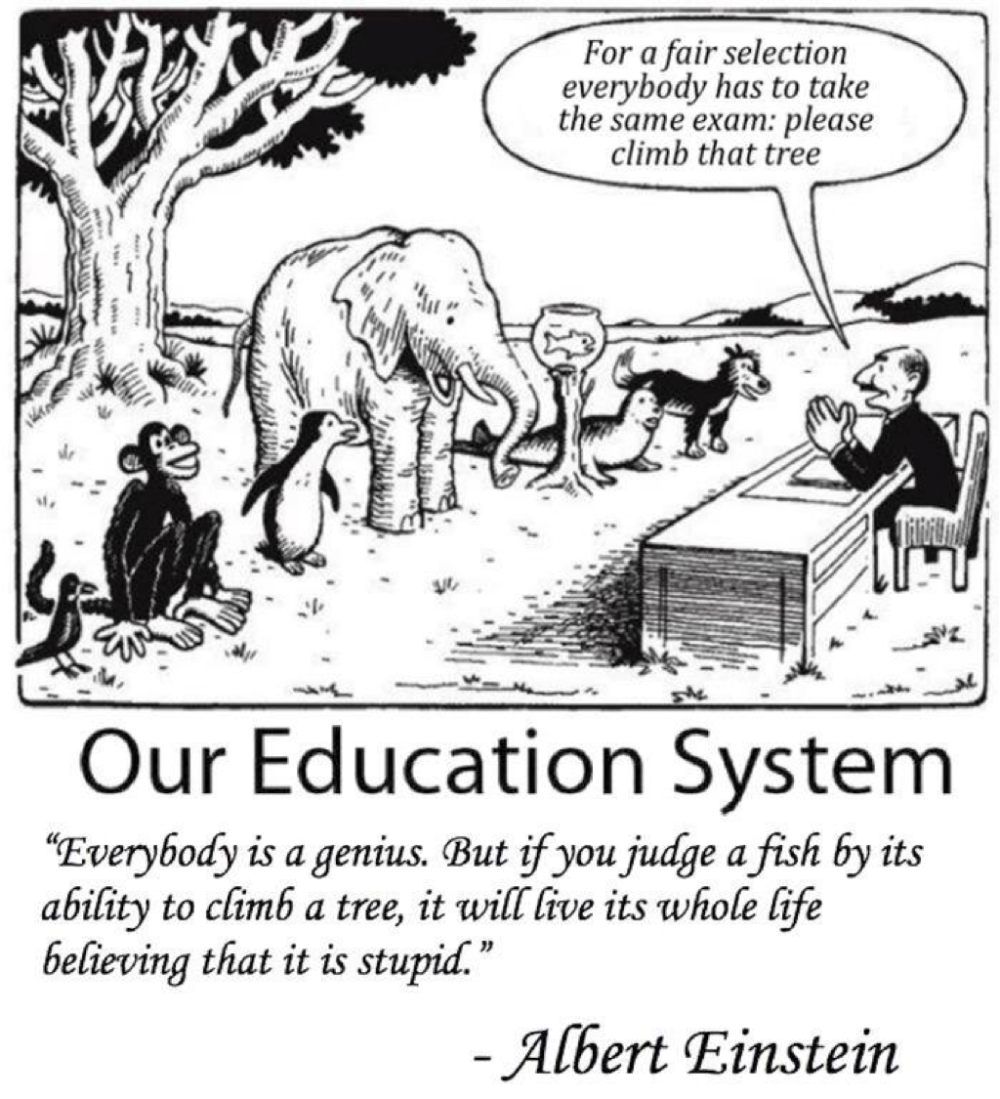 Our Education System: "For a fair selection everybody has to take the same exam: please climb that tree." - A bird, monkey, penguin, elephant, fish, seal and dog are lined up. "Everybody is a genius. But if you judge a fish by its ability to climb a tree, it will live its whole life believing that it is stupid." -Albert Einstein